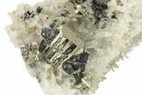 Gleaming Pyrite and Galena on Quartz - Peru #257274-1